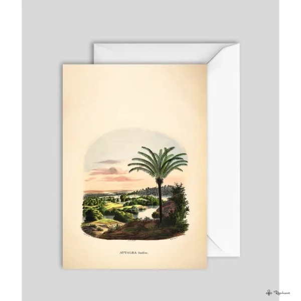 Kort - Palmetræ - 12 x 17 cm