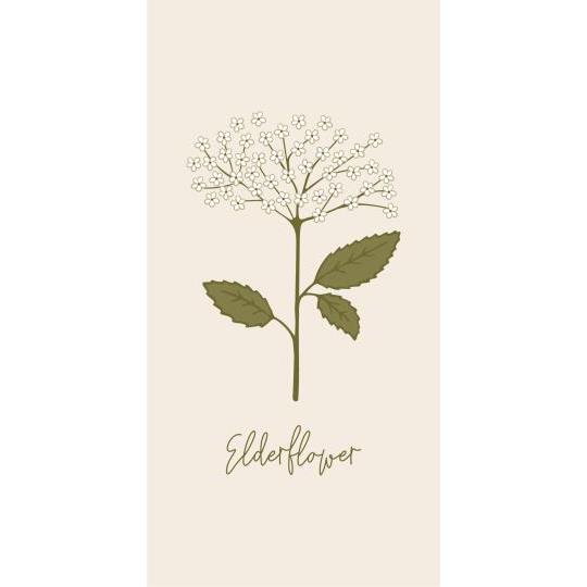 Elderflower hyldeblomst serviet